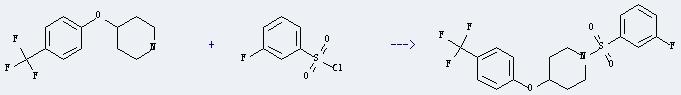 3-Fluorobenzenesulfonyl chloride can react with 4-(4-trifluoromethyl-phenoxy)-piperidine to produce 1-(3-fluoro-benzenesulfonyl)-4-(4-trifluoromethyl-phenoxy)-piperidine